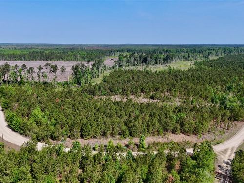 25.5 Acre Hunting Retreat in Wheele : Lumber City : Wheeler County : Georgia