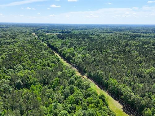 Doylestown Bid Sale : White Hall : Jefferson County : Arkansas