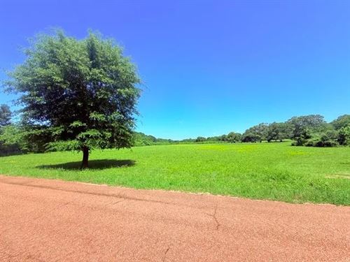 19.63 Acres on Union Church Road : Magnolia : Pike County : Mississippi