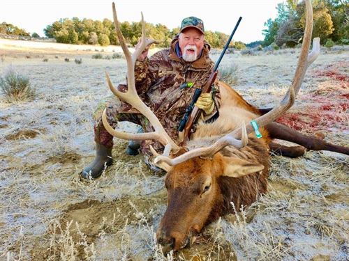 Wilderness 257 : Regina : Rio Arriba County : New Mexico