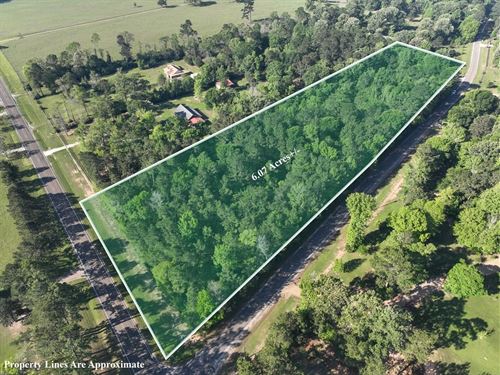6 Acres, FM 2610/Lake Taylor Road : Livingston : Polk County : Texas