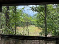 Turn Key Hunting In The Heart Of MI : Soperton : Montgomery County : Georgia