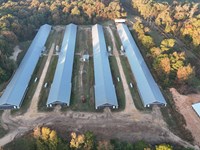 11.77 Acre in Poultry Farm : Downsville : Union Parish : Louisiana
