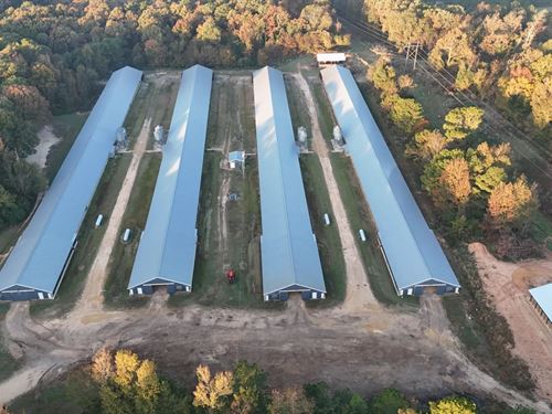 11.77 Acre in Poultry Farm : Downsville : Union Parish : Louisiana