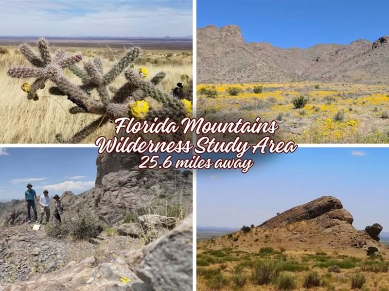 Over 5Ac Lot Luna County NM : Deming : Luna County : New Mexico