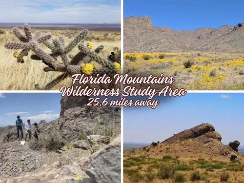 Over 5Ac Lot Luna County NM : Deming : Luna County : New Mexico