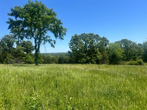 Acreage for Sale in Missouri : Mountain Grove : Wright County : Missouri