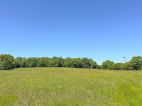 Southern Missouri Land for Sale : Hartville : Wright County : Missouri
