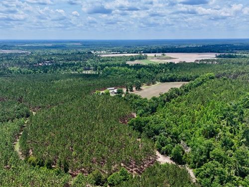 Turnpike Creek Preserve : McRae : Telfair County : Georgia