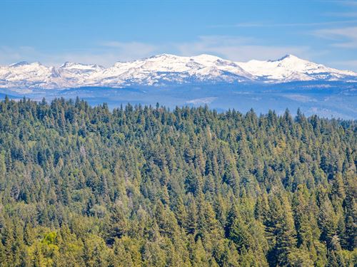 Sly Park Retreat : Pollock Pines : El Dorado County : California