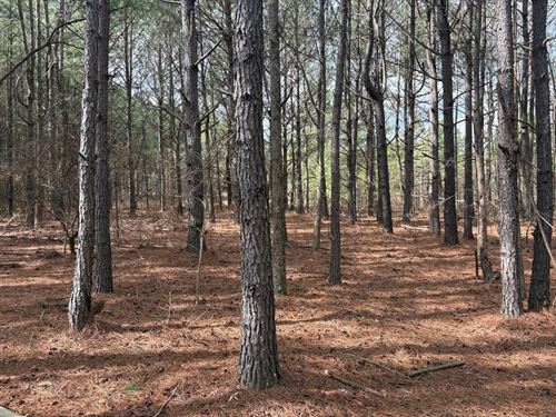 5 Ac. Homesite Cleared & Wooded : Keysville : Burke County : Georgia