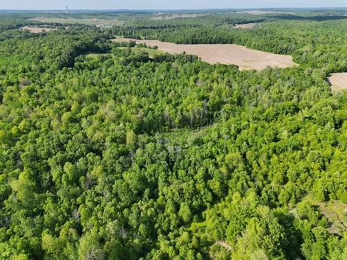 90 Acres in Ohio County, KY : Centertown : Ohio County : Kentucky