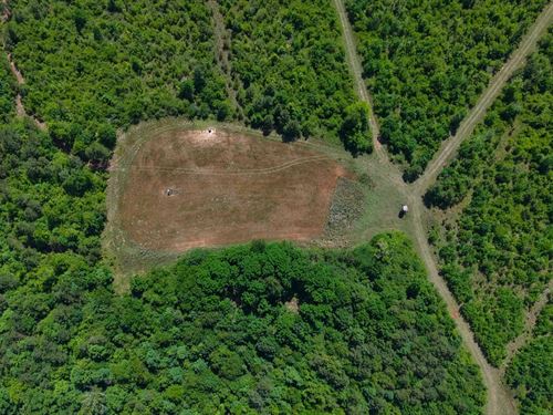 1,069.11 Acres in Autauga County : Autaugaville : Autauga County : Alabama