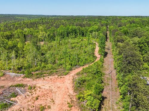35.32 Acres in Tallapoosa Co, Mu : Alexander City : Tallapoosa County : Alabama