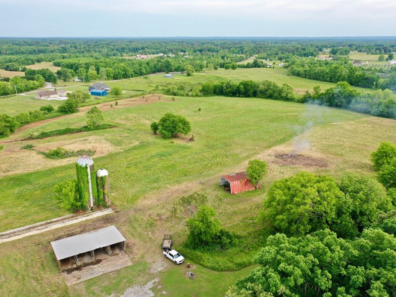 Moulton Mini-Farm : Moulton : Lawrence County : Alabama