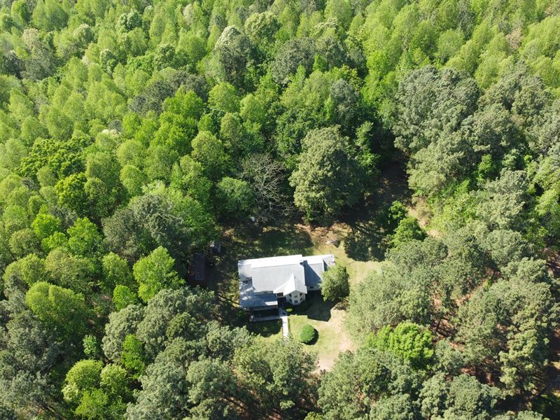 Home on 10 AC + Additional Parcel : Nashville : Nash County : North Carolina