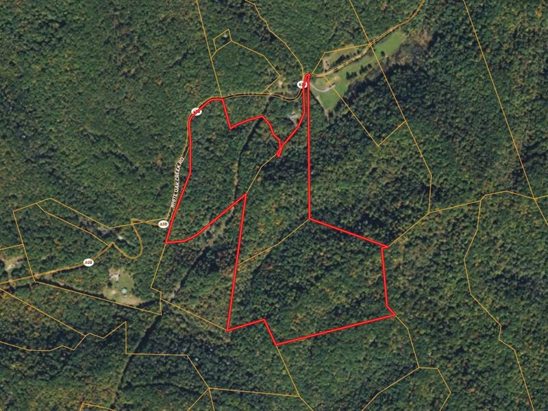 49 Acres in Wise County VA : Pound : Wise County : Virginia