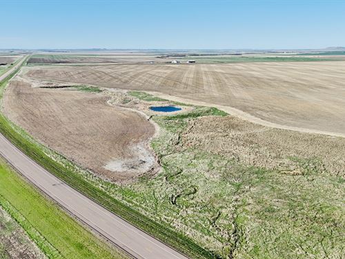 Highway 183 Farm Auction : Winner : Tripp County : South Dakota