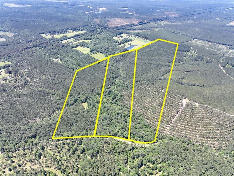 84 Acres, Paces Creek, T3074-12 : Corrigan : Polk County : Texas