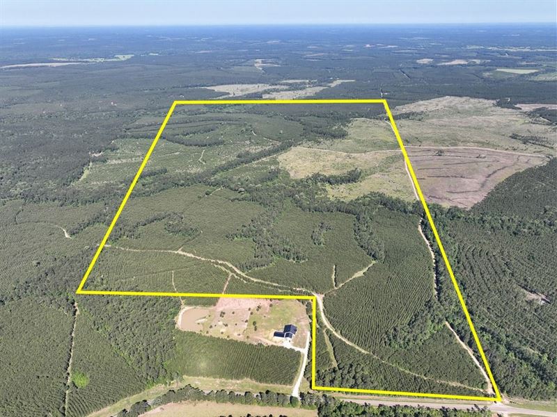 423 Acres, T-1, Eliot : Groveton : Trinity County : Texas