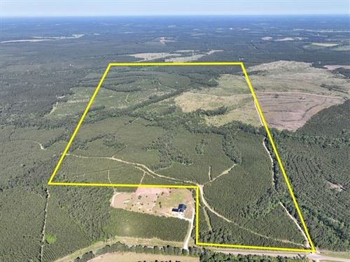423 Acres, T-1, Eliot : Groveton : Trinity County : Texas