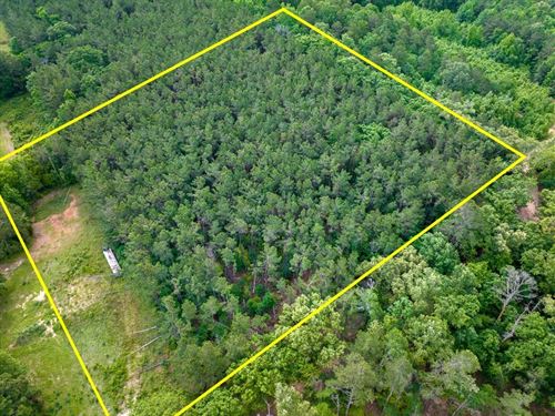5 Acres, County Road 364 South : Henderson : Rusk County : Texas