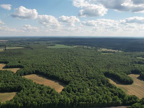 292 Hillsboro, Recreation, Row : Hillsboro : Lawrence County : Alabama