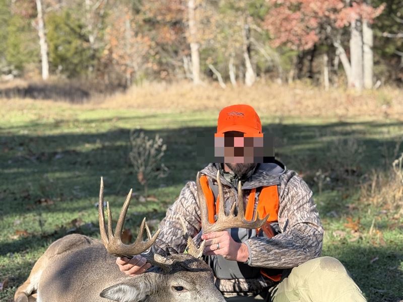 Warsaw Deer & Turkey Farm : Warsaw : Benton County : Missouri