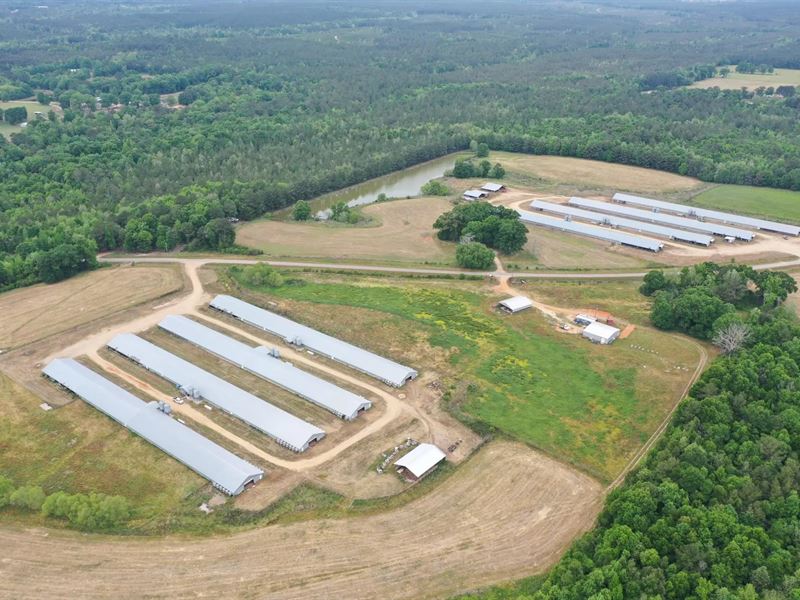 Phoenix Dragon Broiler Farm : Leakesville : Greene County : Mississippi