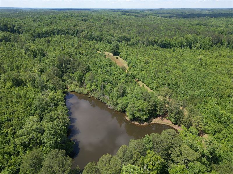 152 Acres Hwy 86 Pickens County : Carrollton : Pickens County : Alabama