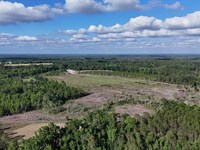 35 Acres on Kennedy Road, Appling : Baxley : Appling County : Georgia
