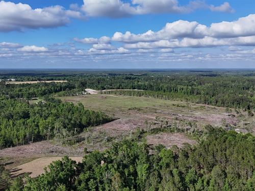 35 Acres on Kennedy Road, Appling : Baxley : Appling County : Georgia