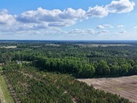 Appling County Outdoor Paradise 58 : Baxley : Appling County : Georgia