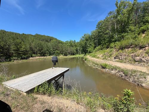 75 Acre Recreational Tract : Oakman : Walker County : Alabama