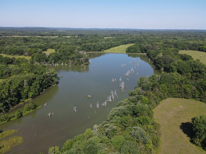 737 Acres in Pine Apple, Alabama : Pine Apple : Wilcox County : Alabama