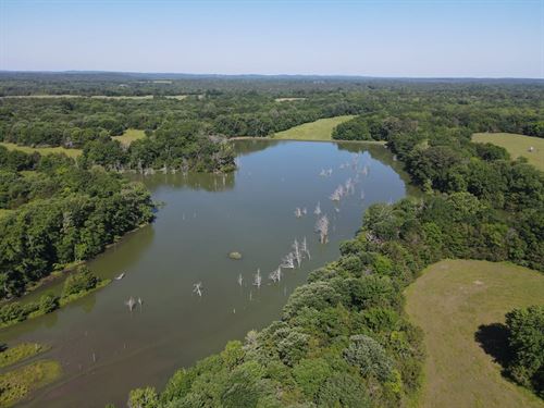 737 Acres in Pine Apple, Alabama : Pine Apple : Wilcox County : Alabama