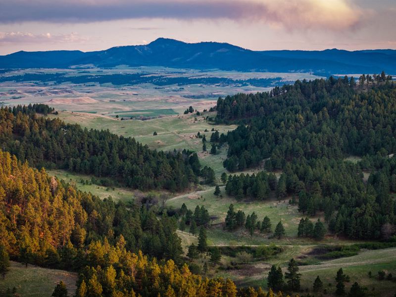 Redwater Ranch, 905.6 Acres, Live : Spearfish : Butte County : South Dakota