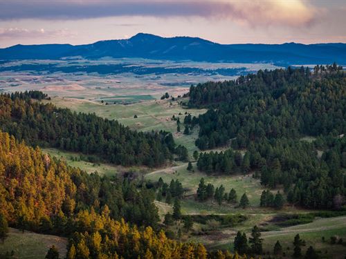 Redwater Ranch, 905.6 Acres, Live : Spearfish : Butte County : South Dakota