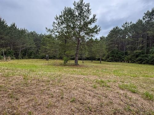 14 Acres, 1131 Big Woods Road : New Waverly : San Jacinto County : Texas