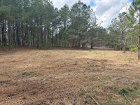 Peaceful 10 Acre Homesite : Keysville : Burke County : Georgia