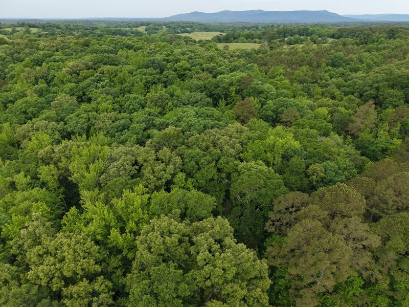 10.02 Acres in Polk County, AR : Mena : Polk County : Arkansas