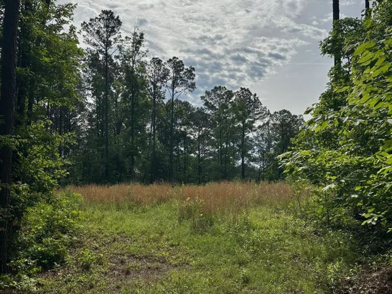 8 Acres in Shelby County, AL : Calera : Shelby County : Alabama