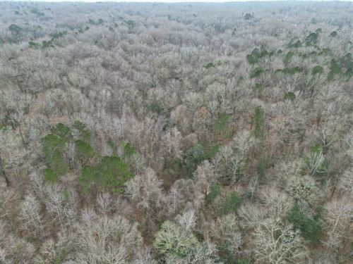 15 Acres in Adams County, MS : Natchez : Adams County : Mississippi