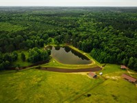 245 Acres With a Lodge in Newton Co : Hickory : Newton County : Mississippi
