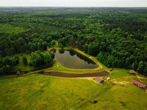 245 Acres With a Lodge in Newton Co : Hickory : Newton County : Mississippi