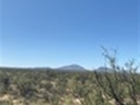 Super Special 20 Acs $10K Off : Sierra Blanca : Hudspeth County : Texas