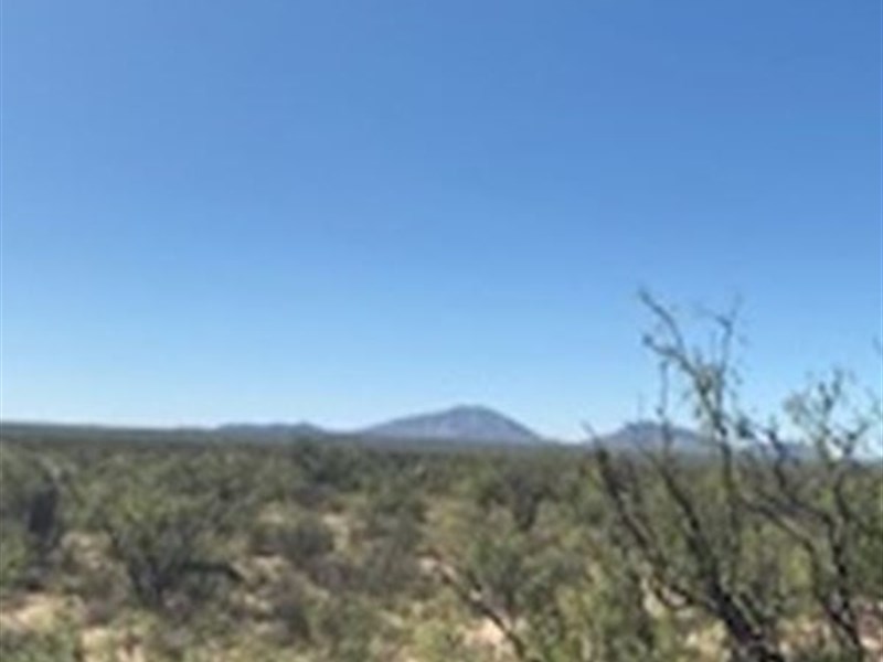 Super Special 20 Acs $10K Off : Sierra Blanca : Hudspeth County : Texas