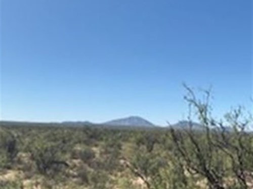 Super Special 20 Acs $10K Off : Sierra Blanca : Hudspeth County : Texas