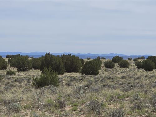 36.75 Acres Seller Financing : Concho : Apache County : Arizona
