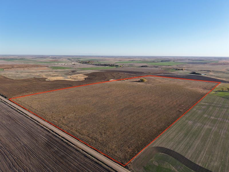 Rush County Cropland and Hunting : Alexander : Rush County : Kansas